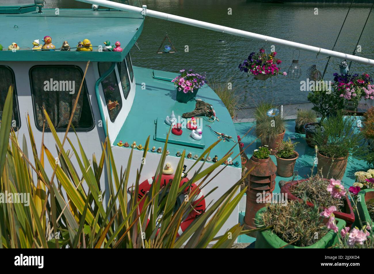 Enten in einer Reihe, fröhliche, amüsante Bootsdekorationen, The Floating Harbour, Bristol, England, Sommer 2022. Juli. Enten aus Gummi und Kunststoff. Stockfoto