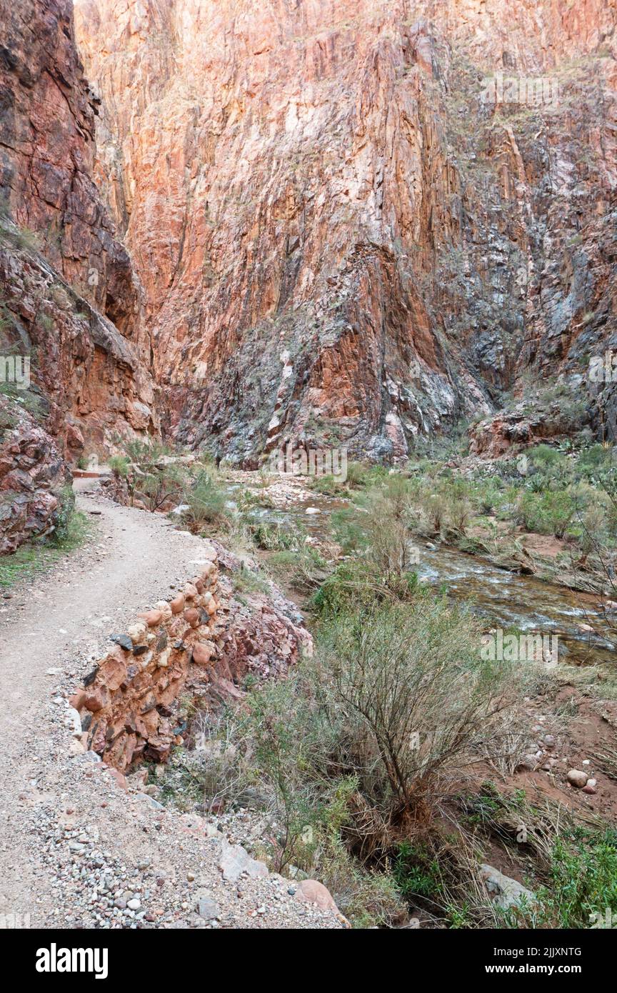 Der North Kaibab Trail und Bright Angel Creek im Grand Canyon National Park Stockfoto