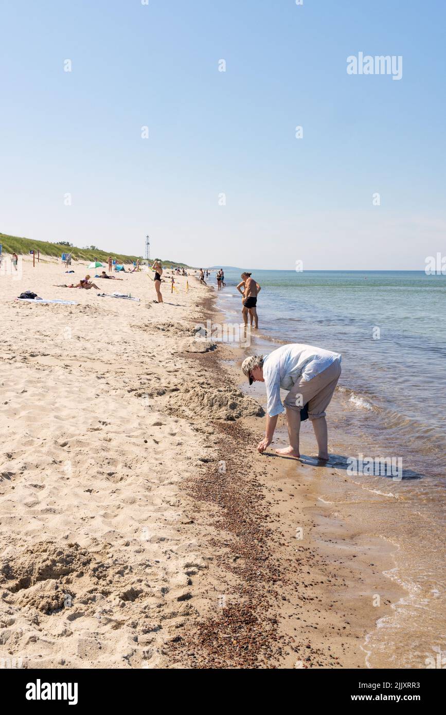 Litauischer Bernstein; ein Tourist, der nach Bernstein am Wasserrand im Sommer, an der Ostseeküste an der Kurischen Nehrung, Litauen, Europa sucht Stockfoto