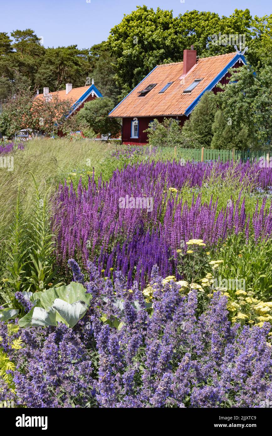 Litauen Sommer; Blumen und traditionelle hölzerne Fischerhäuser in Nida, Neringa, Nationalpark Kurische Nehrung, Litauen Europa Stockfoto