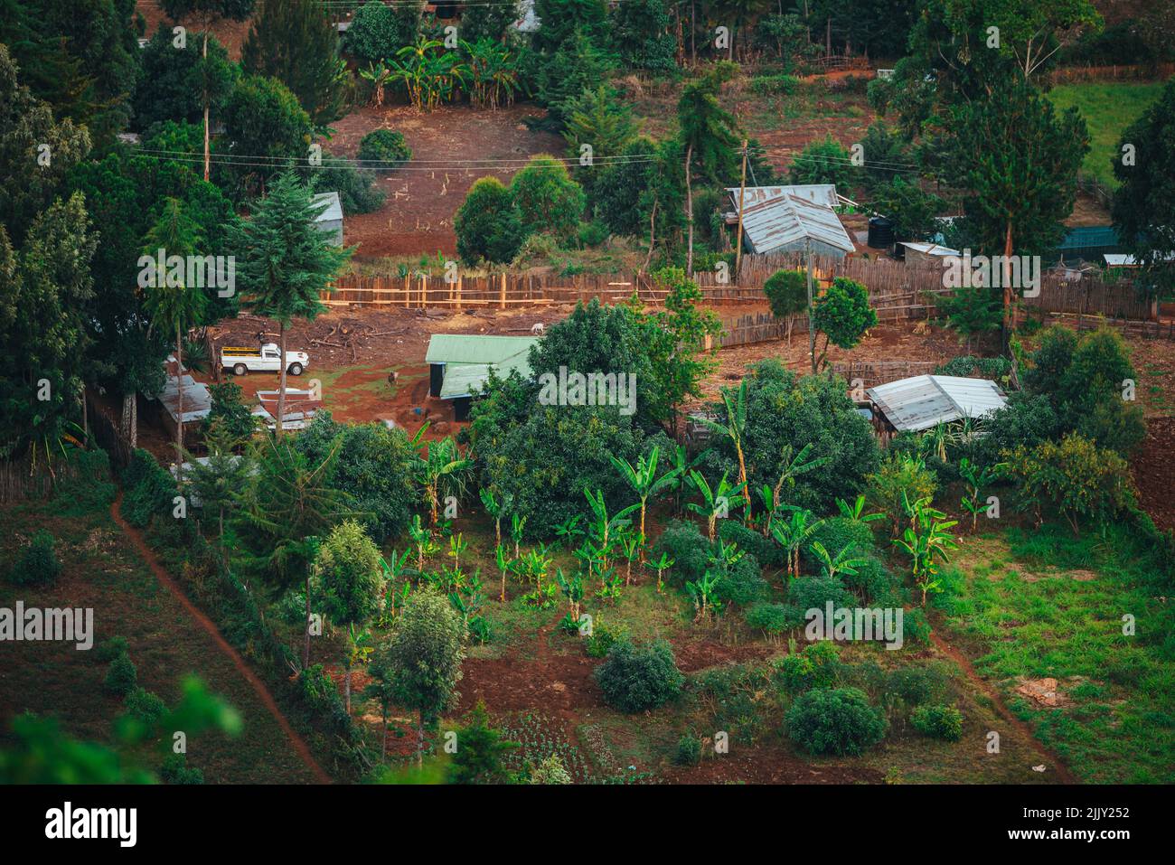 Ein Blick auf ein einfaches ländliches Gehöft in Kenia. Ein einfaches, armes Leben in Afrika. Bescheidene Häuser und Ackerland Stockfoto