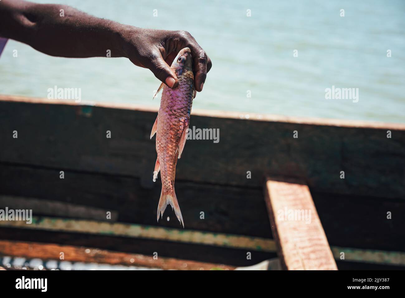 Ein Mann aus Afrika hält einen Fisch in den Händen. Die Fischerei in Kenia ist ein Lebensunterhalt für Afrikaner, die nach Lebensmitteln fischen. Hunger in Afrika, Illustration Foto Stockfoto