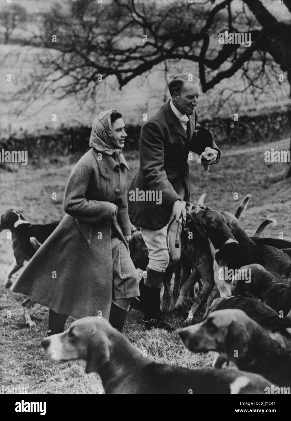 NC Lick for the Princess:- die Jagdhunde der Berwickshire drücken, um die Hand des Earl of Dalkeith bei einem Treffen zu Hause zu lecken Castle, Januar 7 - Prinzessin Margaret, die im nahe gelegenen Marchmont House, Berwickshire, als Gast des Kapitäns und Frau J.H.F., McEwen, Gab der Jagd eine königliche Absendung. 08. Januar 1952. (Foto von Associated Press Photo). Stockfoto