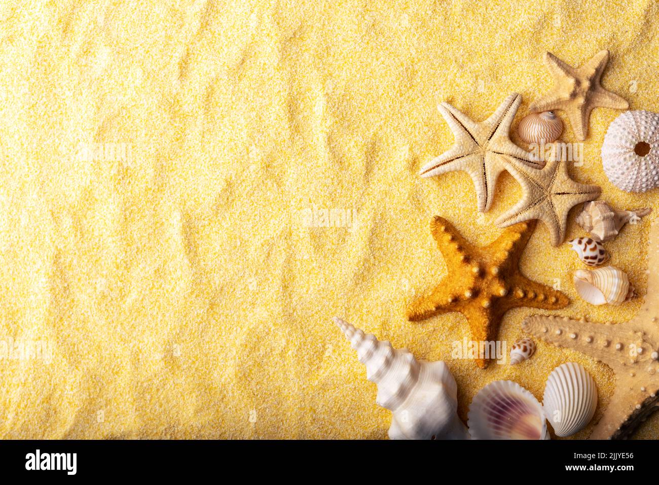 Ferien- und Sommerzeitkonzept mit Seesternen und Muscheln auf einem klaren, gelben Strandsand. Meer und Meer Urlaub Hintergrund Stockfoto
