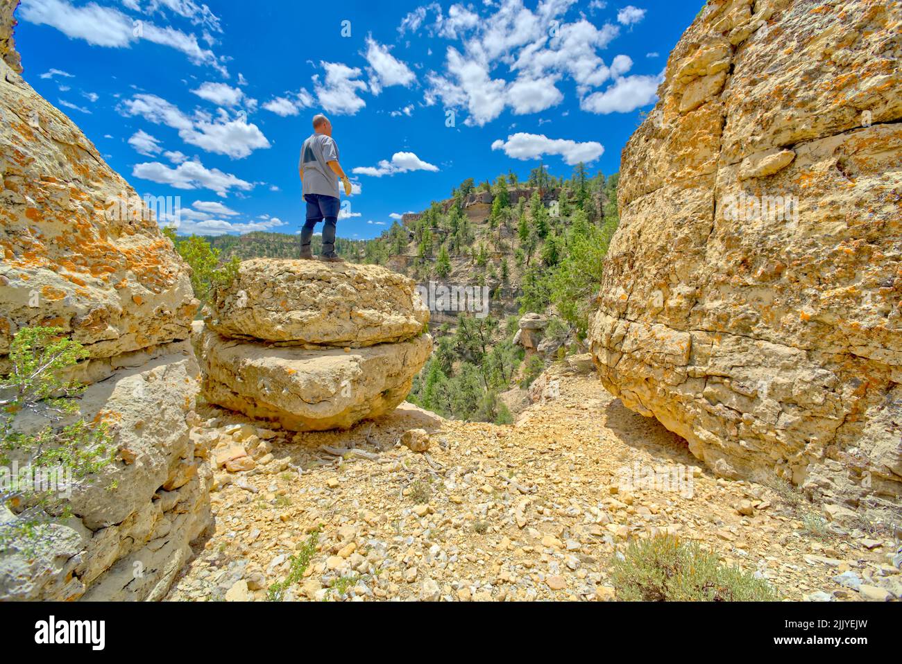 Ein Wanderer, der auf einem Felsbrocken am Rand einer Klippe am Grand Canyon Arizona steht. Stockfoto