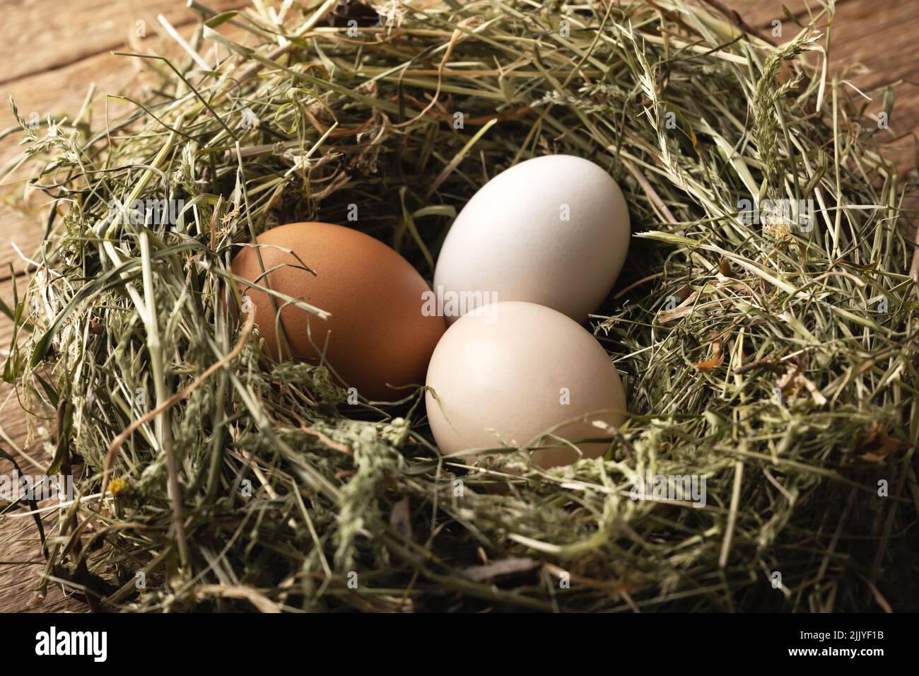 Bio-Hühnereier im Nest aus trockenem Heu aus der Nähe. Food-Fotografie Stockfoto