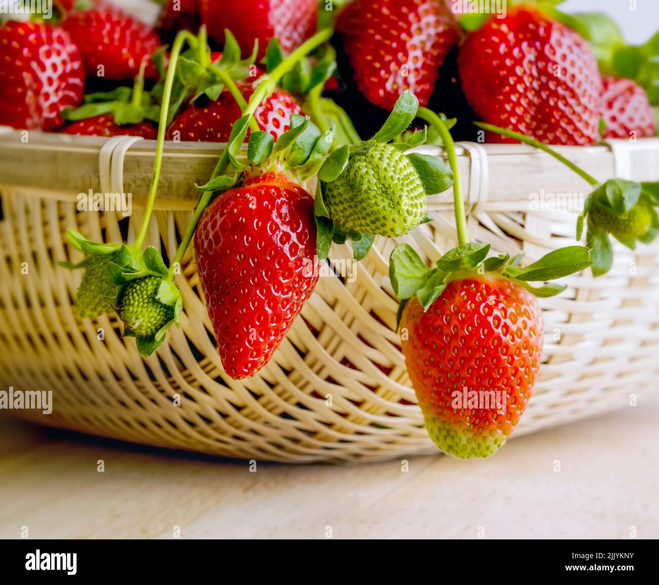 Korb voller frisch gepflückter Erdbeeren Stockfoto