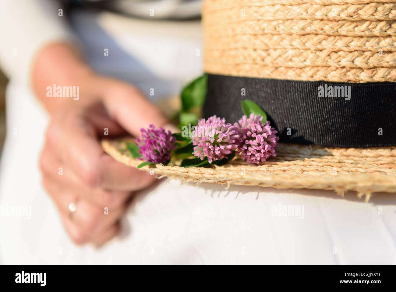 Nahaufnahme von drei violetten Kleeblüten auf einem gelben Strohhut, der auf dem Schoß einer verheirateten Frau liegt, selektiver Fokus. Stockfoto