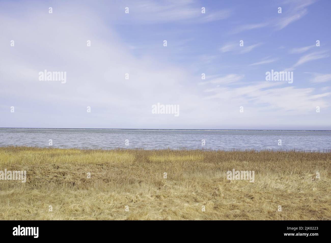 Landschaft aus Meer, See oder Lagune vor einem Himmelshintergrund mit Kopierfläche. Golf mit Schilf und wildem Gras wächst an der leeren Küste Norwegens. Friedlich Stockfoto