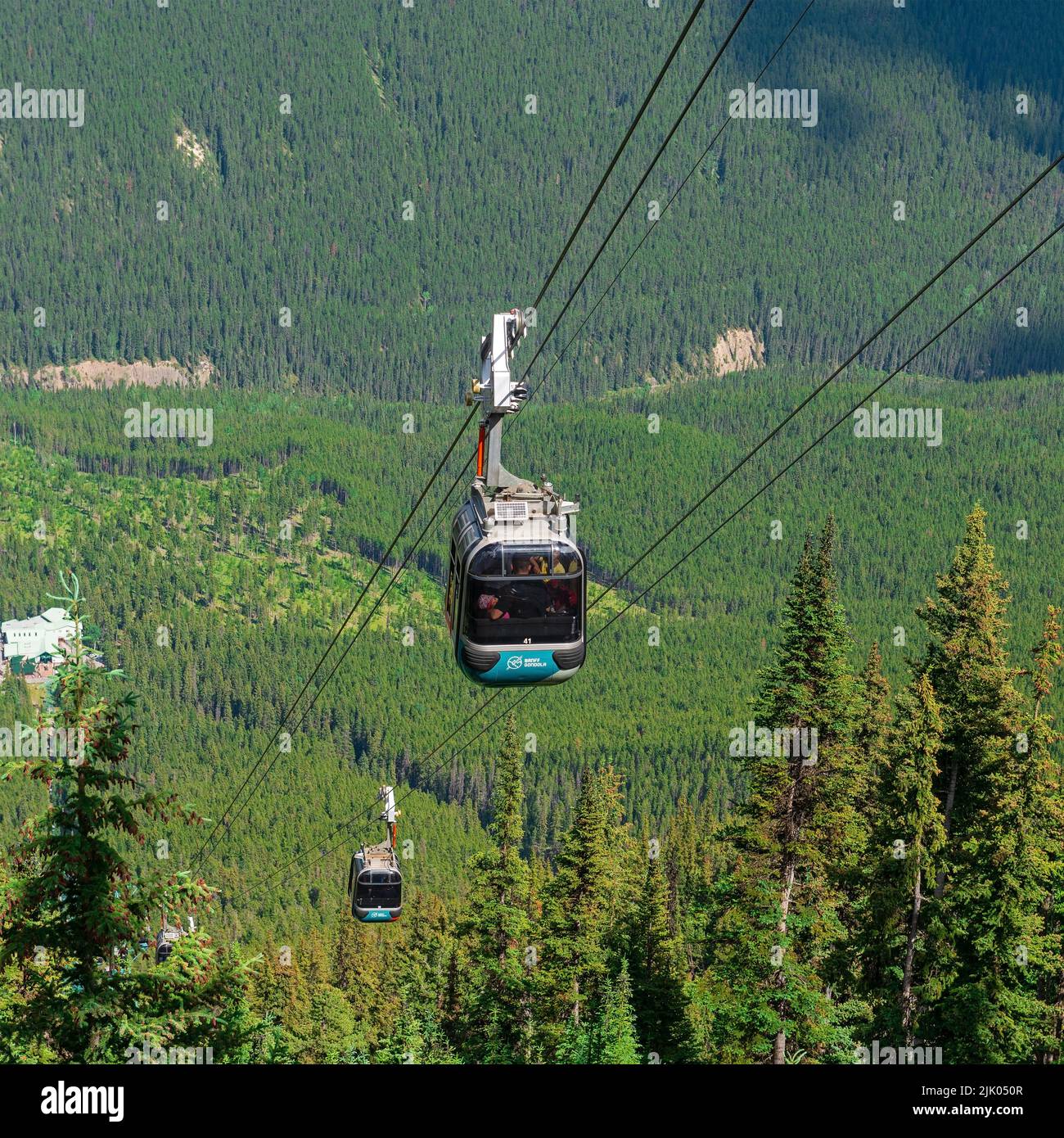 Seilbahn von Banff Gondola über Kiefernwald, Banff Nationalpark, Alberta, Kanada. Stockfoto