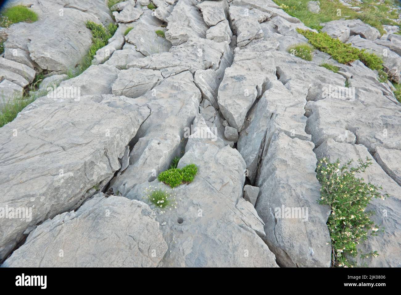 Karsteigenschaften in Kalkstein, verursacht durch Auflösung von Calciumcarbonat Stockfoto