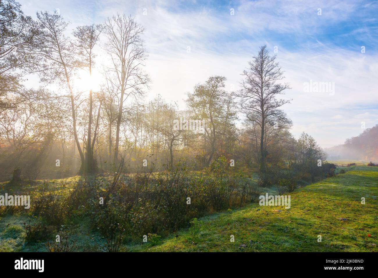 Landschaft mit Wald und Wiese im Morgennebel. Bergige ländliche Landschaft bei einem nebligen Sonnenaufgang. Wunderbarer herbstlicher Naturhintergrund bei sonnigem Wetter Stockfoto