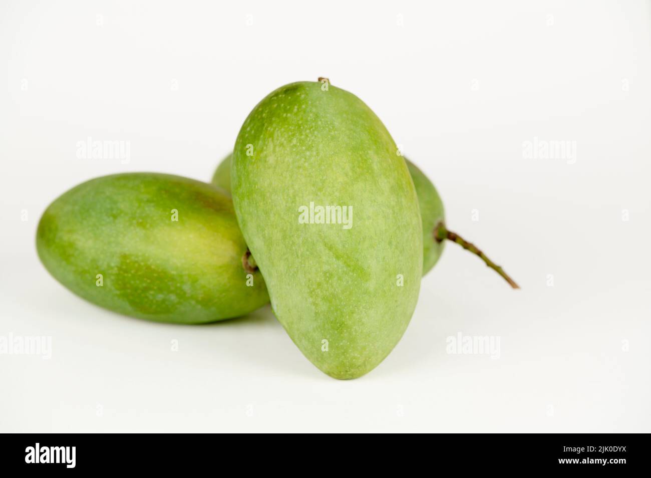 Nahaufnahme von drei Langda-Mangos (Magnifera indica) auf weißem Hintergrund Stockfoto