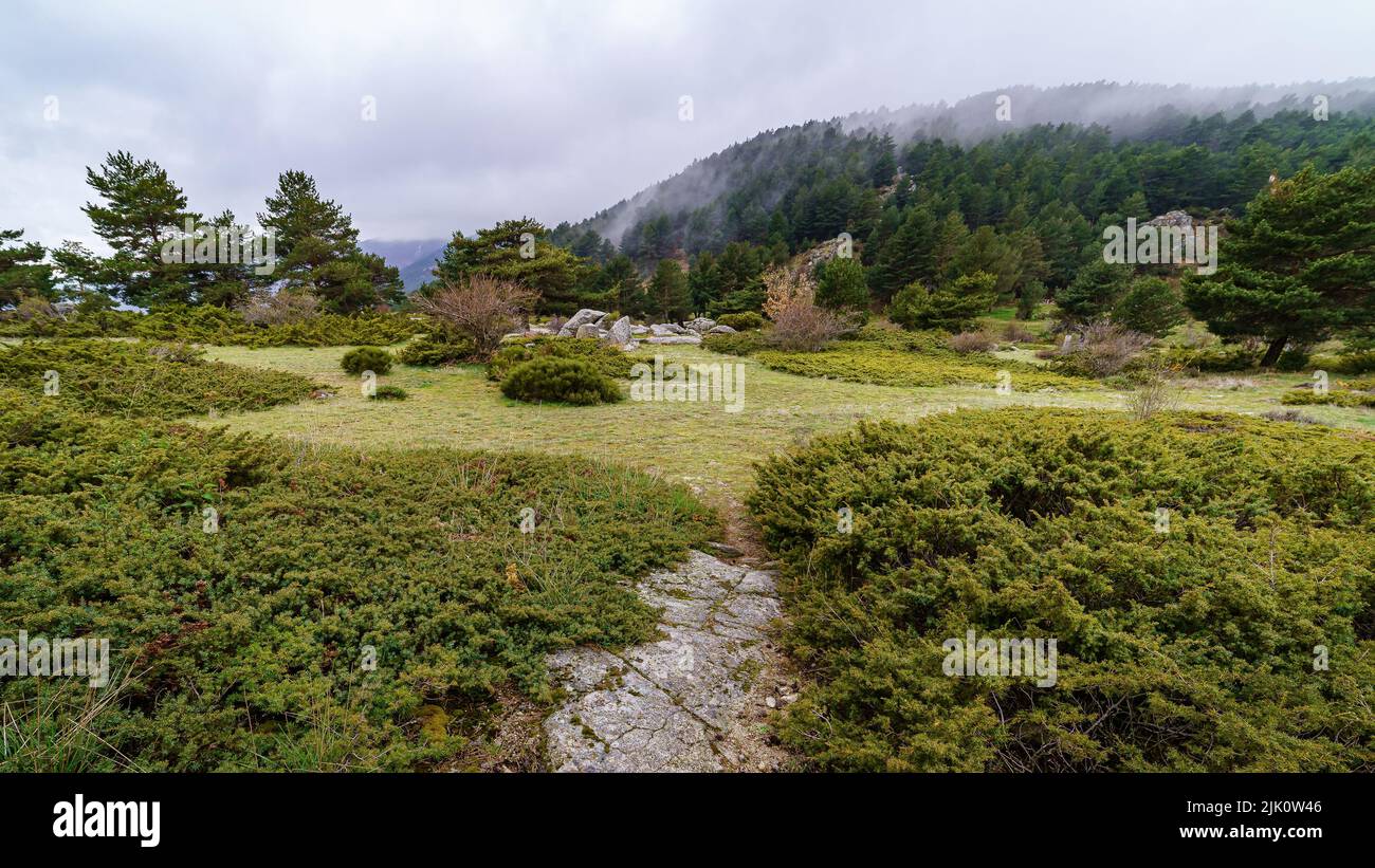 Grüne Landschaft von hohen Bergen mit Nebel auf dem Gipfel und grüne Vegetation im Frühling Umwelt. Canencia Madrid. Stockfoto
