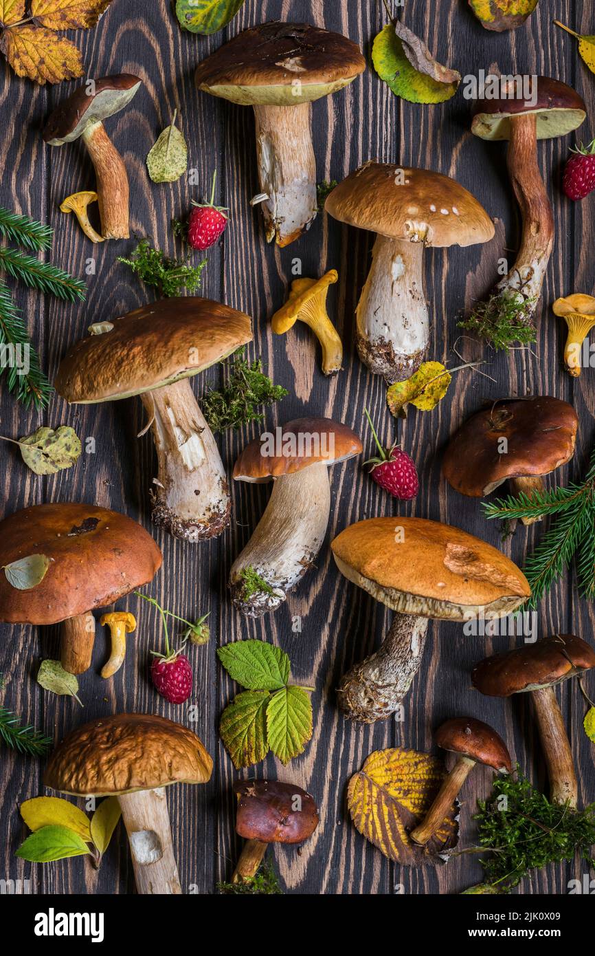 Muster aus wildem Himbeer und wildem Pilz Stockfoto