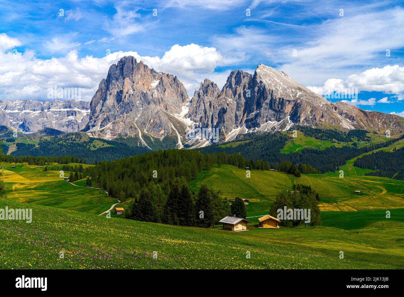 Hütten in den blühenden Frühlingswiesen der Seiser Alm mit Langkofel und Langkofel im Hintergrund, Dolomiten, Südtirol, Italien, Europa Stockfoto