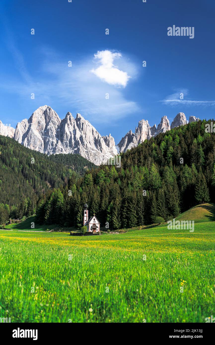 Blühende Wiesen im Frühling rund um die kleine Kirche St. Johann in Ranui und Geisler, Funes-Tal, Dolomiten, Südtirol, Italien, Europa Stockfoto