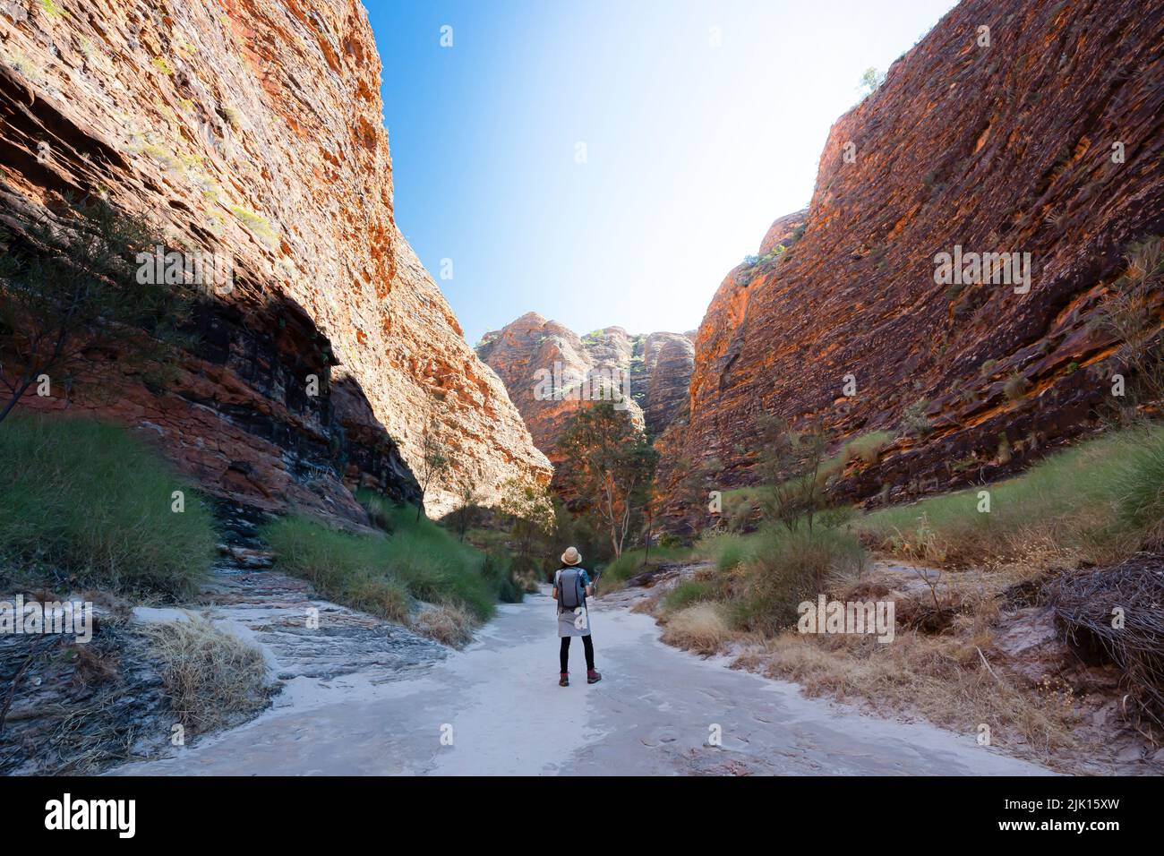 Ein eintägiger Spaziergang führt Sie ins Bungle Bungles Valley im Purnululu National Park, Kimberley, Westaustralien Stockfoto