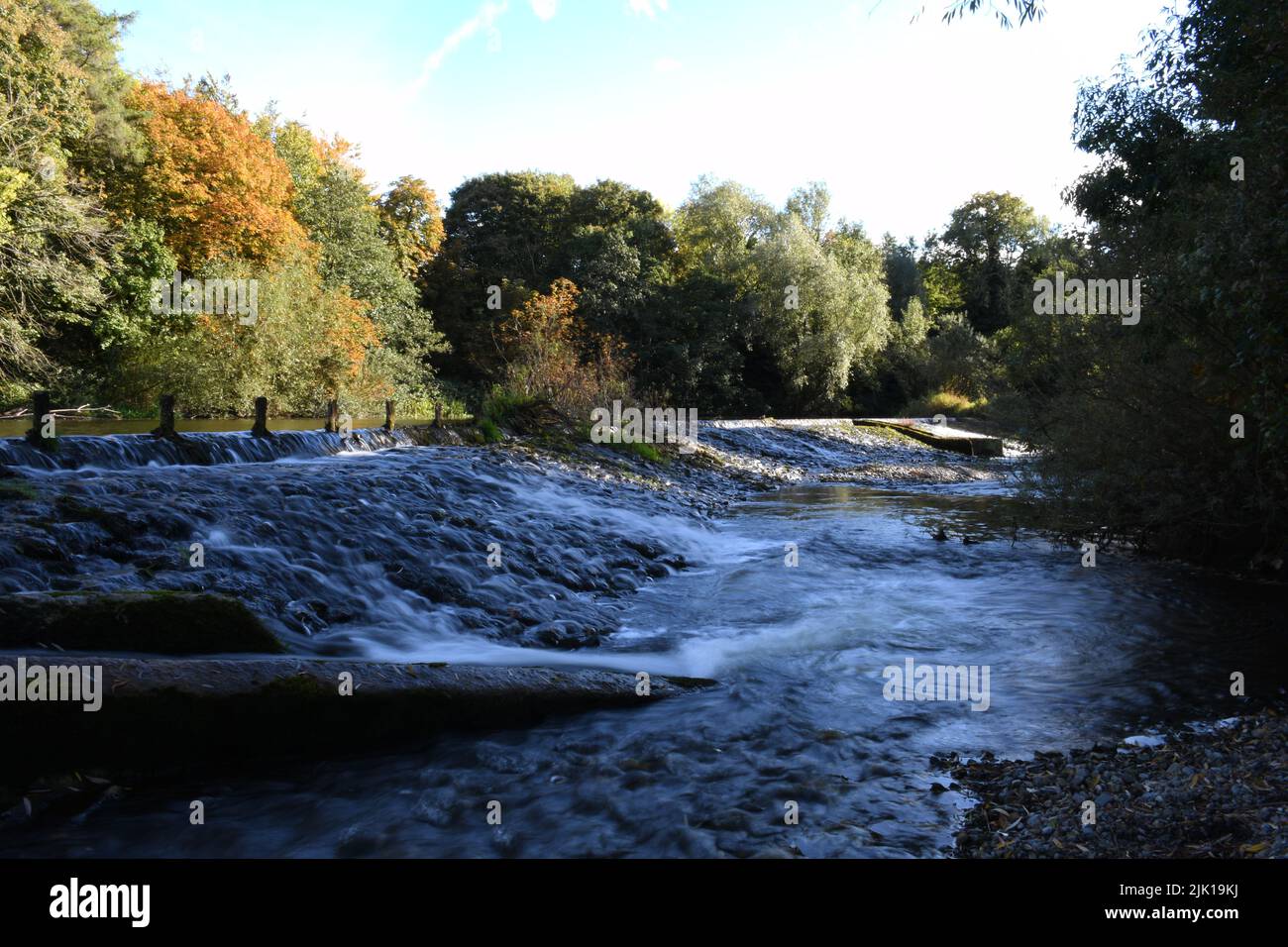 Herbstfarben am Wehr, River Nore, River Nore Linear Park, Riverside Walk, Kilkenny, Irland Stockfoto