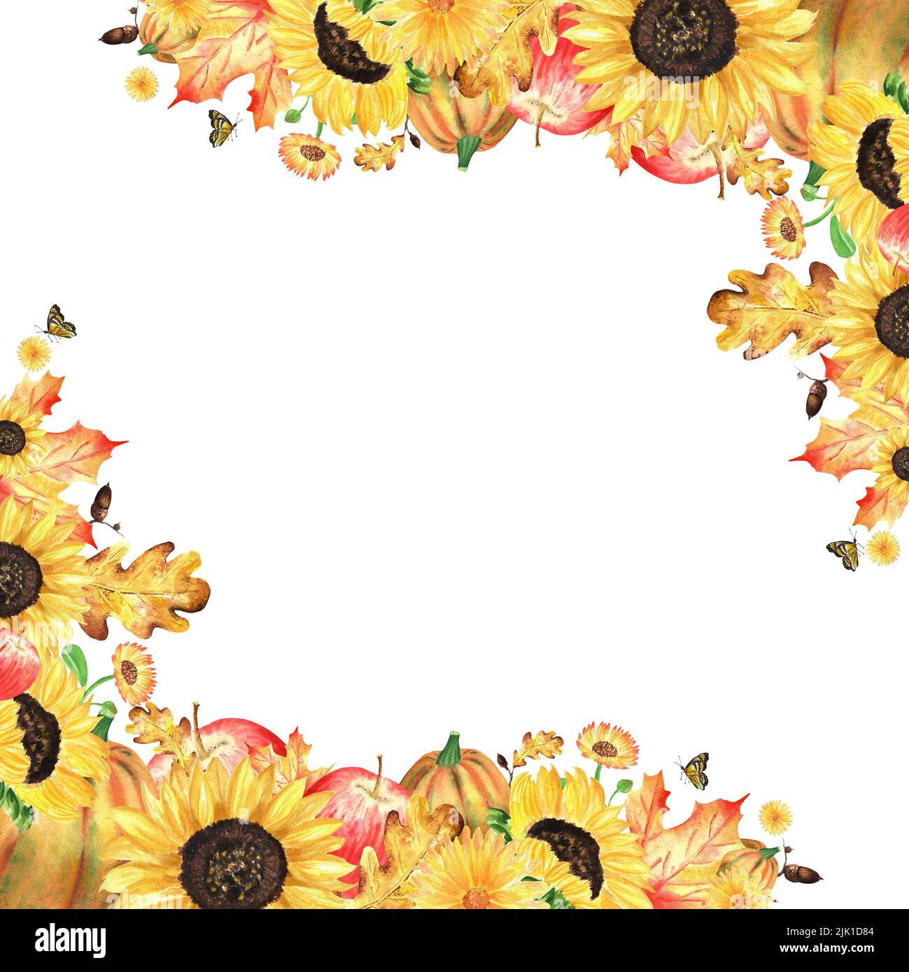 Ein Herbstgarten Komposition. Aquarell-Illustrationen zum Thema Herbsternte. Garteneckrahmen mit Sonnenblumen, Ahorn- und Eichenblättern, Stockfoto
