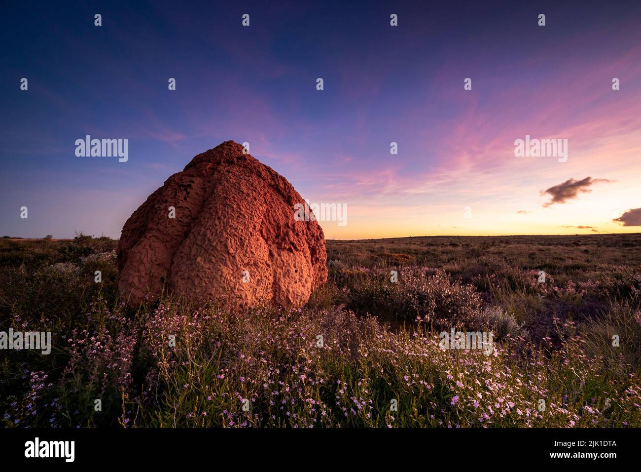 Eine wunderschöne Termite und Sonnenuntergang in Exmouth, Westaustralien Stockfoto