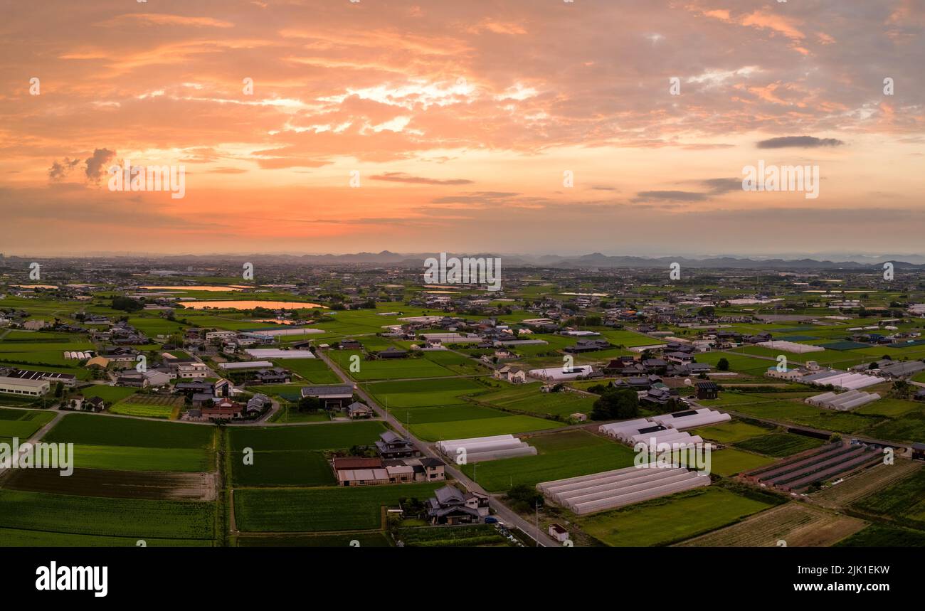 Panoramablick auf Reisfelder und Gewächshäuser bei Sonnenuntergang Stockfoto