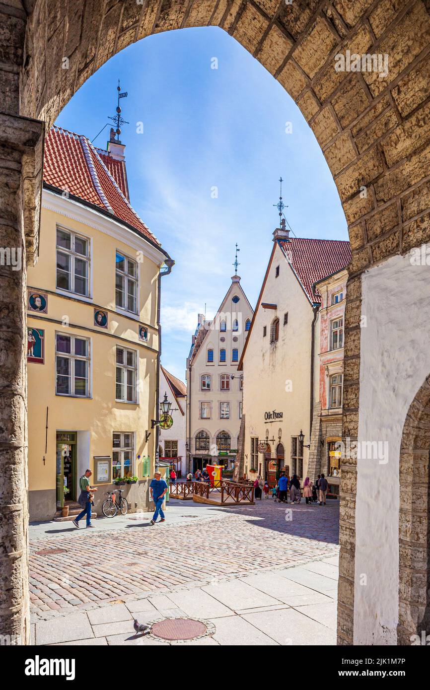 Blick auf die Altstadt von den Bögen des Rathauses aus dem 14.. Jahrhundert (Tallinna raekoda) auf dem Platz von Tallinn, der Hauptstadt Estlands Stockfoto