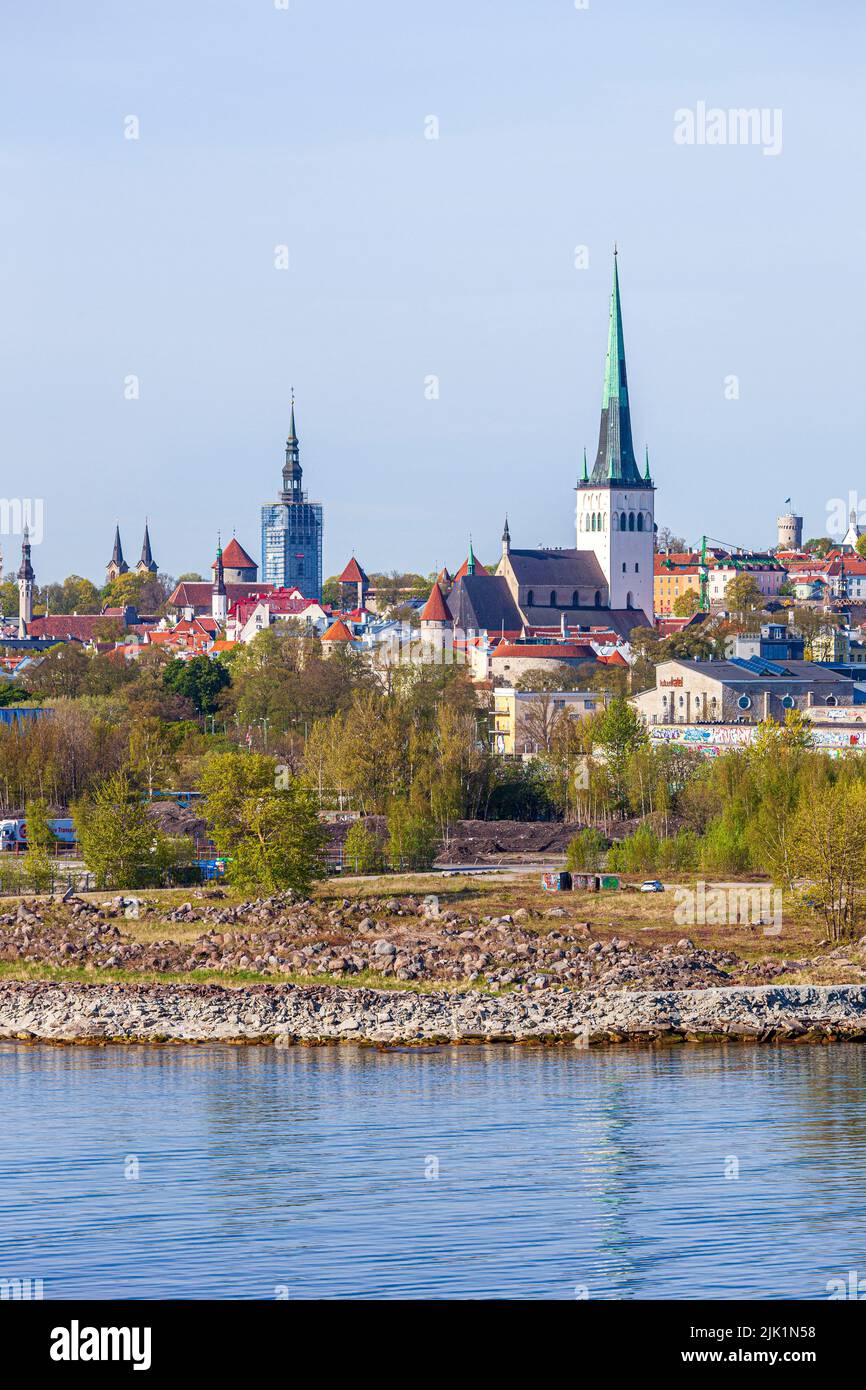 Morgenlicht auf Tallinn, der Hauptstadt Estlands Stockfoto