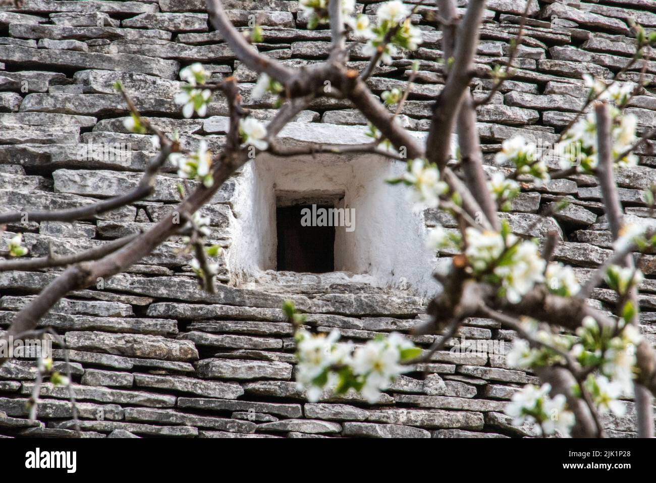 Ikonische Wohnhäuser im historischen Trulli-Viertel in Alberobello, Italien Stockfoto