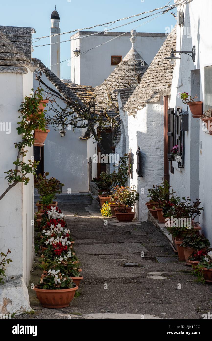Ikonische Wohnhäuser im historischen Trulli-Viertel in Alberobello, Italien Stockfoto