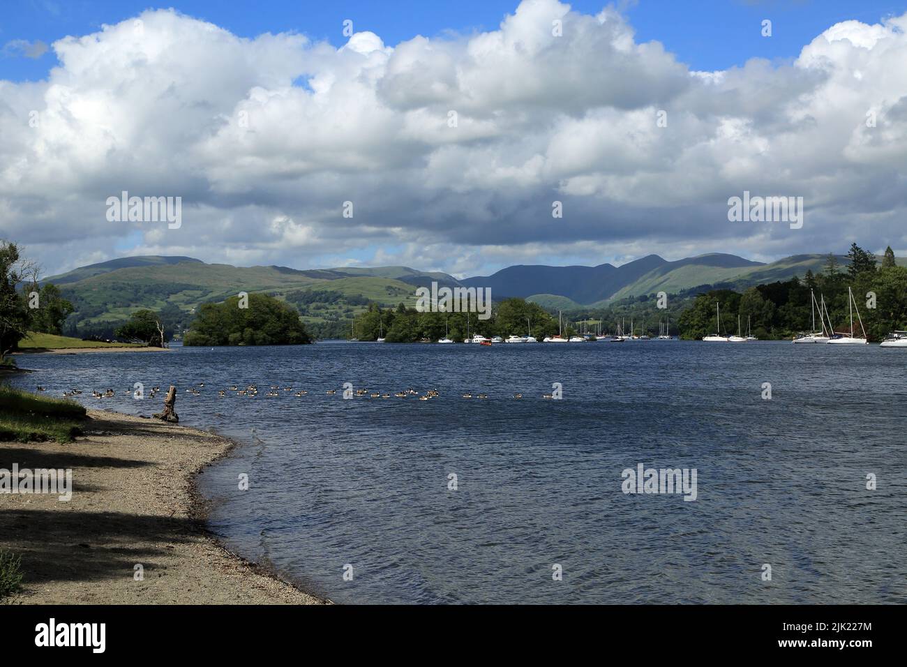 Blick vom Strand des Lake Windermere vom Westufer in der Nähe von Harrow Slack in Richtung Hügel, Windermere, Lake District, Cumbria, England, Vereinigte Kin Stockfoto