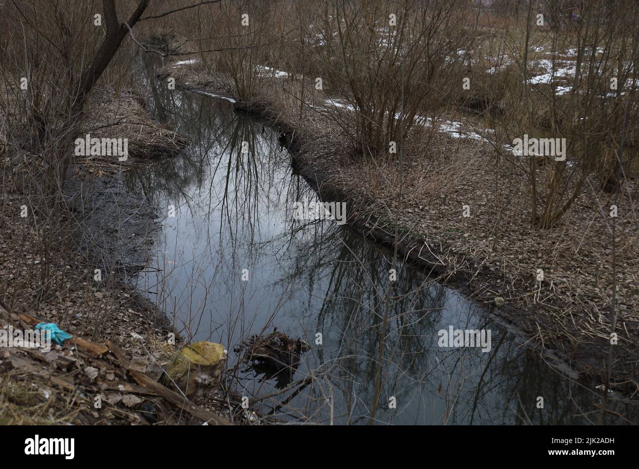 Umgestürzte Bäume im Frühlingswald, Frühlingslandschaft, schneebedeckte Pflanzen Stockfoto