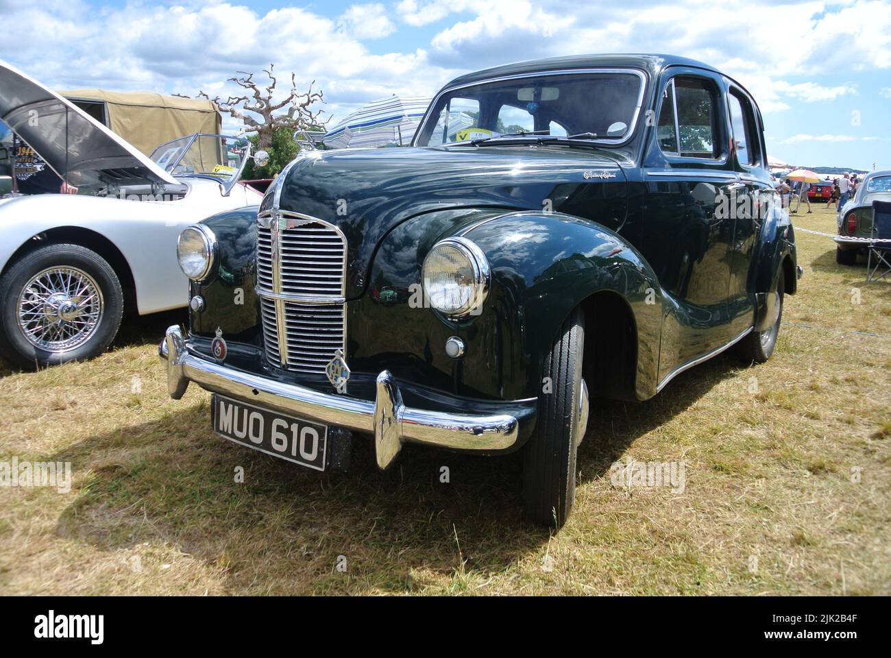 Ein 1951 Austin A40 Devon parkte auf der Ausstellung 47. Historic Vehicle Gathering Classic Car Show, Powderham, Devon, England, Großbritannien. Stockfoto