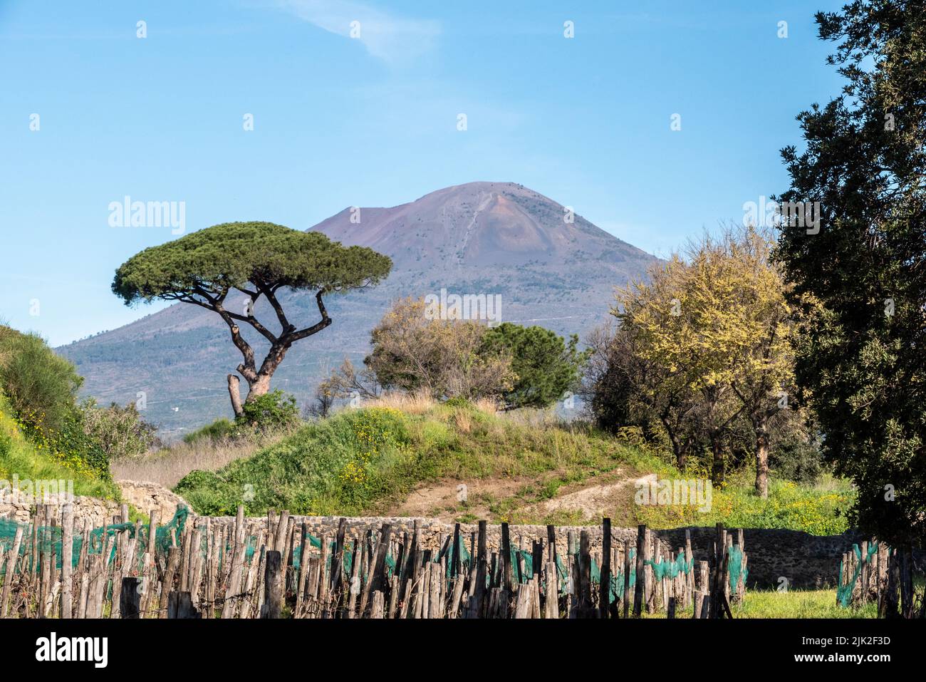 Landschaft rund um den berühmten Vesuv bei Pompeji, Italien Stockfoto