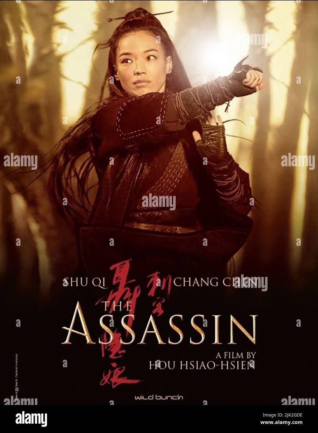 QI SHU POSTER, DER ASSASSINE, 2015 Stockfoto