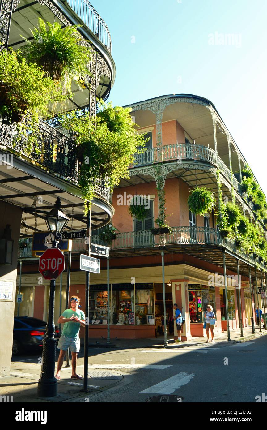 Farne hängen von verzierten Balkonen im French Quarter von New Orleans Stockfoto