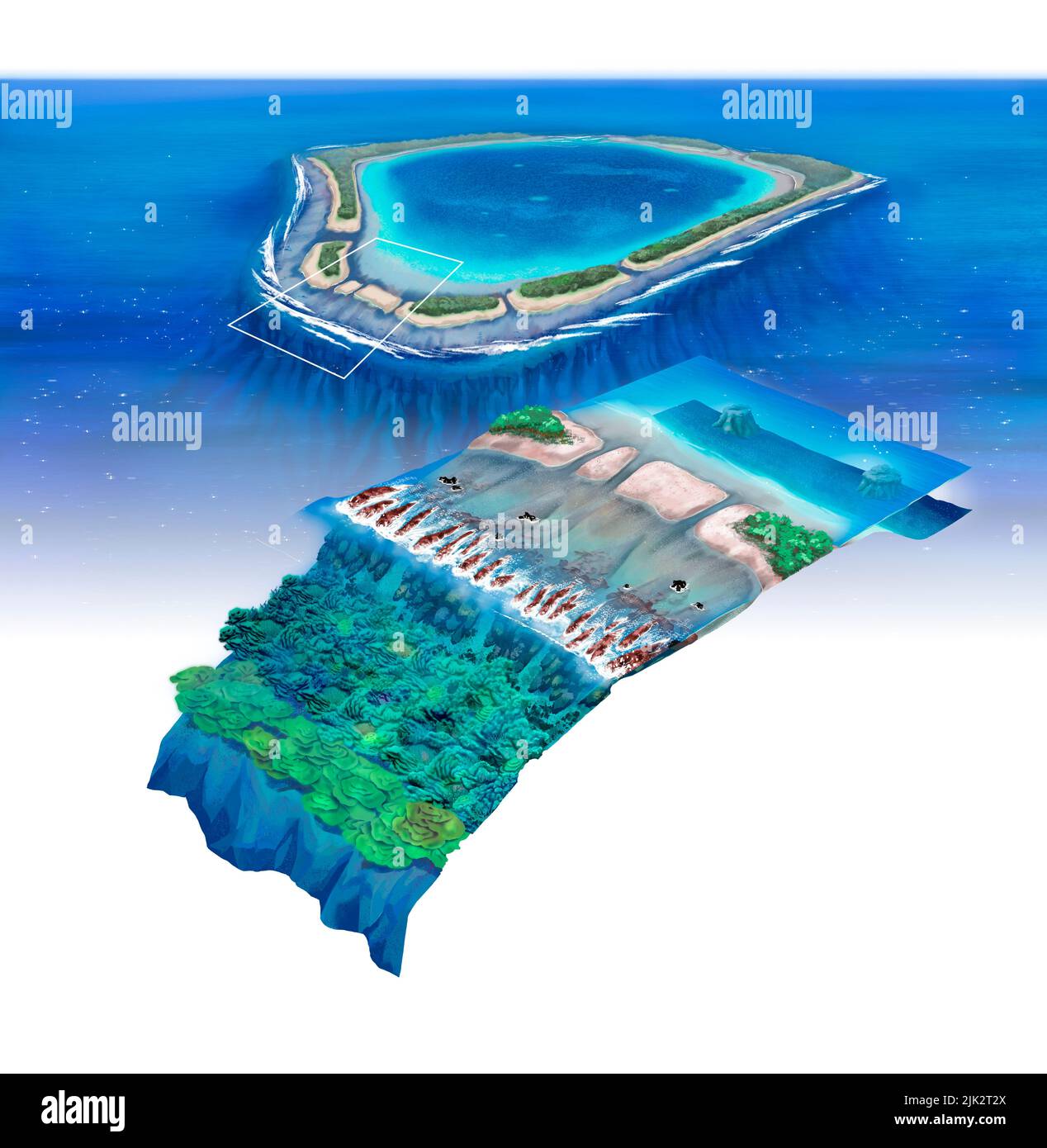 Abbildung zeigt ein Atoll und einen Querschnitt eines Atolls. Ein Atol ist eine ringförmige Insel, die aus einem Korallenriff besteht und eine Lagune umkreist. Stockfoto