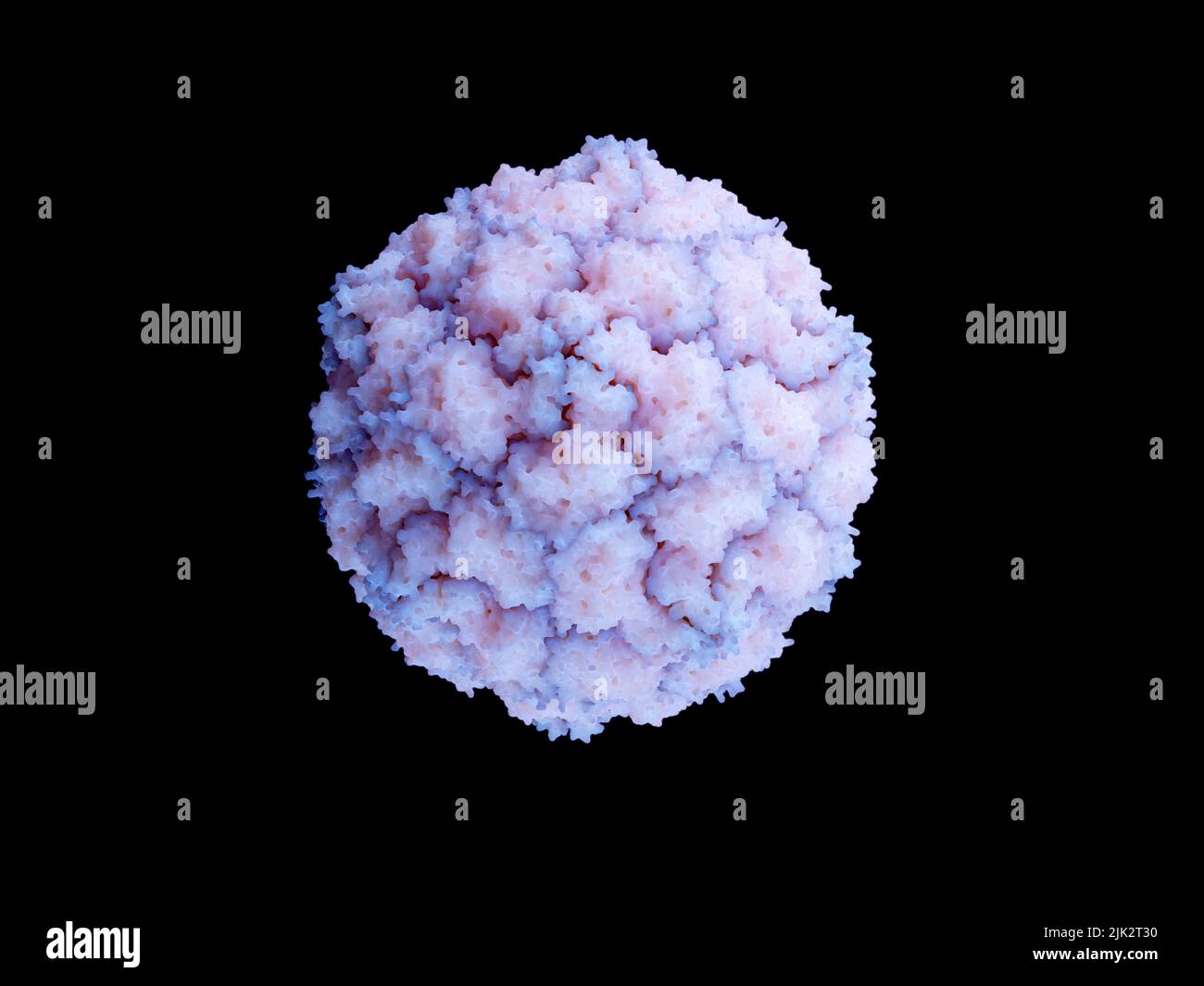Abbildung zeigt ein humanes Echovirus 18 (E-18), ein Mitglied der Enterovirus-B-Spezies und ein Erreger, der viele Ausbrüche von aseptischer Meningitis und Gehirnentzündung verursacht hat. Stockfoto