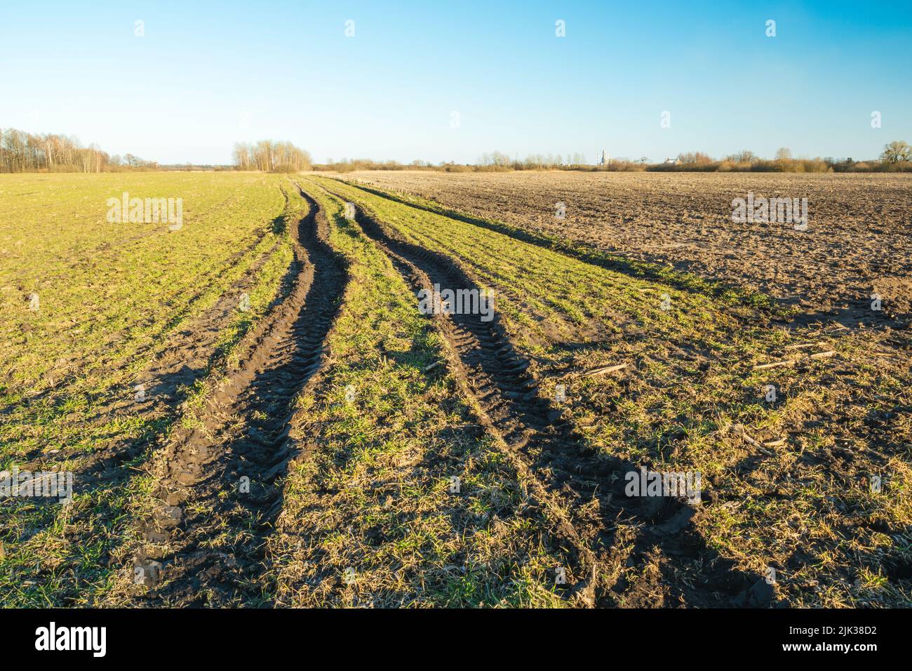Traktorradspuren in einem schlammigen Feld Stockfoto