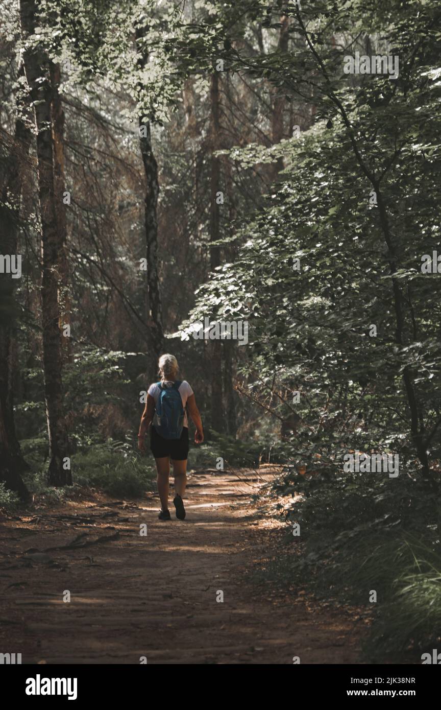 Frau Wandern im Wald Stockfoto
