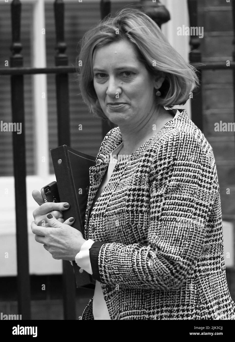 London, Großbritannien. 31.. Oktober 2017. Amber Rudd Innenminister nimmt an einer Kabinettssitzung in der Downing Street 10 in London Teil Stockfoto
