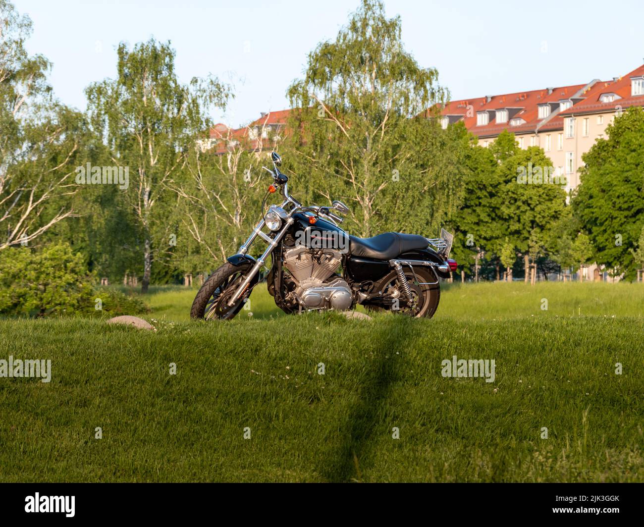 Harley-Davidson Motorrad steht in der grünen Natur. Parken Chopper Motorrad auf einem natürlichen Weg. Seitenansicht des schwarzen Bikes. Amerikanischer Lifestyle Stockfoto