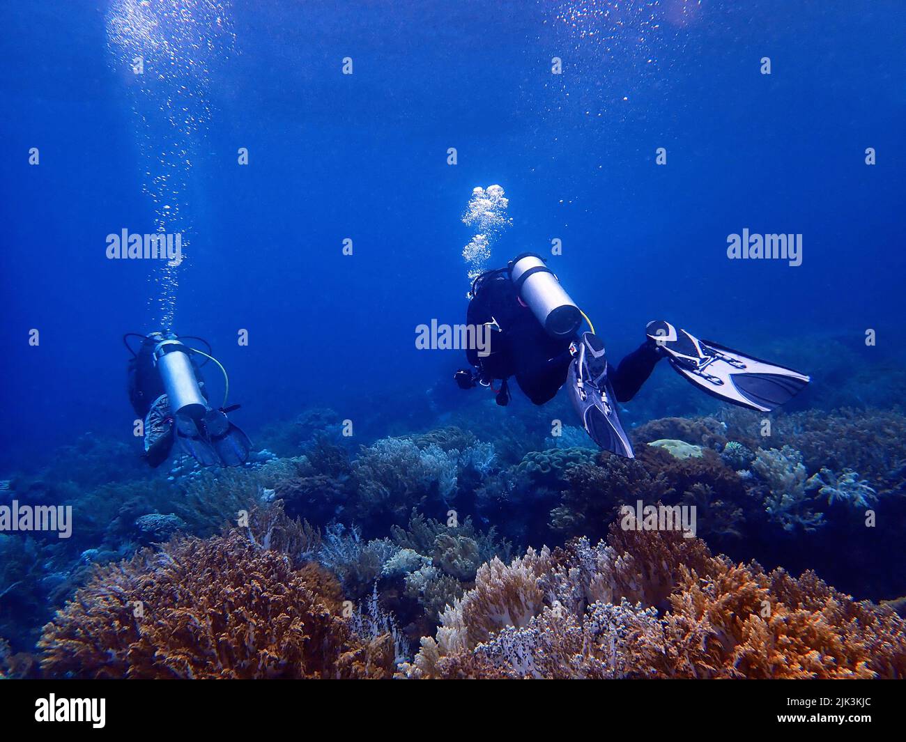 Indonesia Sumbawa - Tauchen Stockfoto