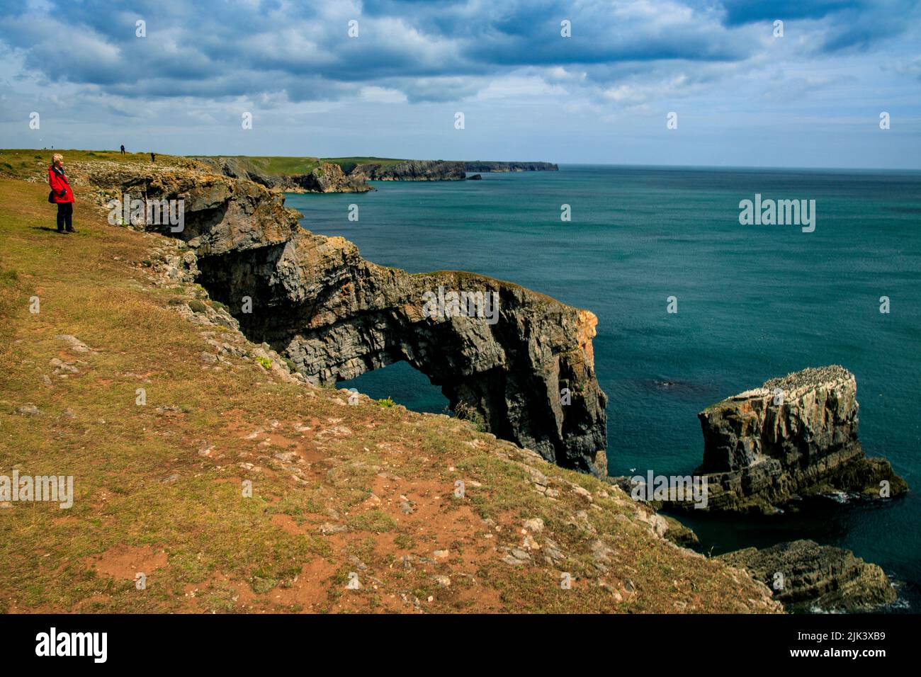 Die dramatische Green Bridge of Wales im Pembrokeshire Coast National Park ist ein natürlicher Kalksteinbogen, Wales, Großbritannien Stockfoto