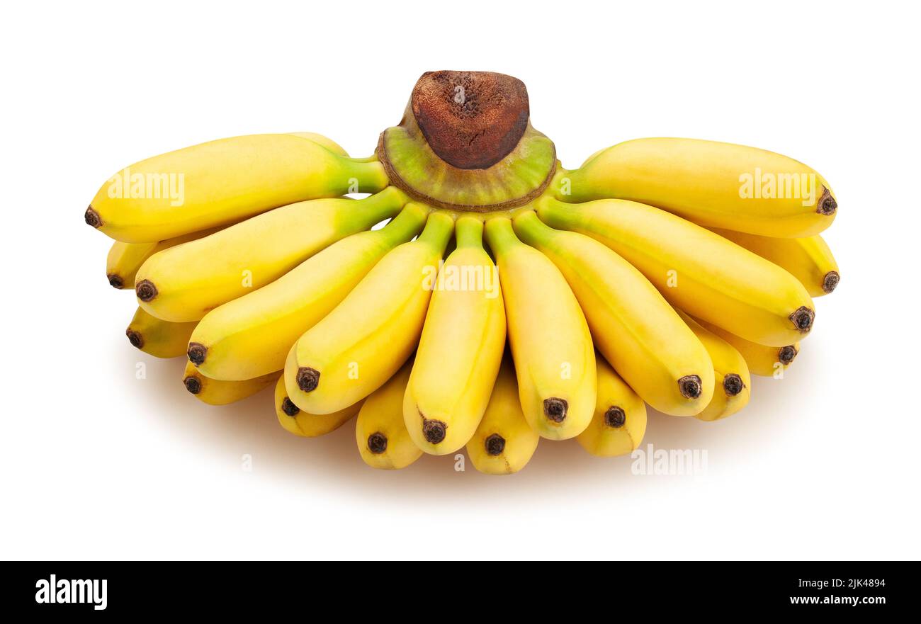 Baby Banane Pfad isoliert auf weiß Stockfoto