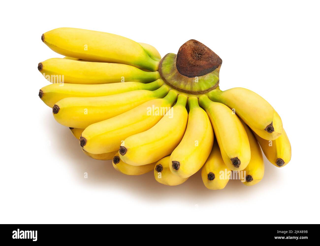 Baby Banane Pfad isoliert auf weiß Stockfoto
