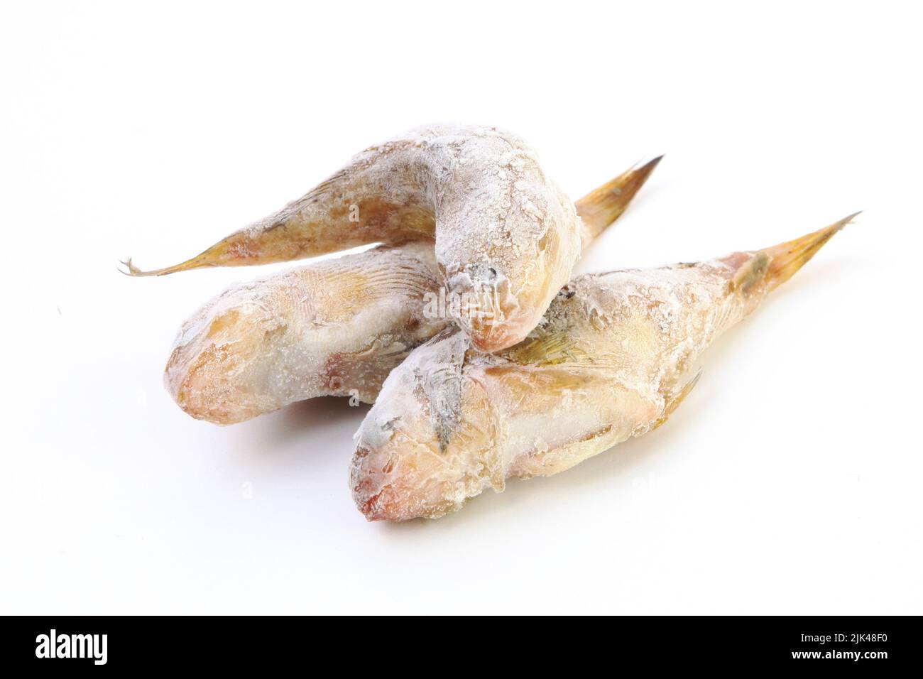 Frisch gefrorener Stachelfisch. Schwarzmeerwürfel mit Eis an der Oberfläche. Frischer Fisch im Frost. Isoliert. Stockfoto