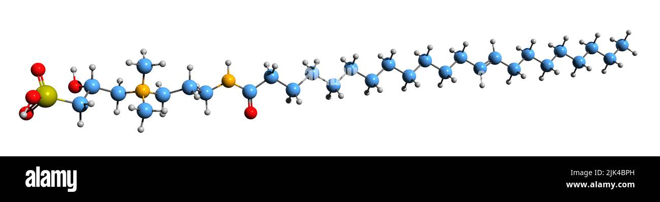 3D Bild der Skelettformel von Erucamidopropyl hydroxysultaine - molekularchemische Struktur des auf weißem Hintergrund isolierten Zwitterion-Tensids Stockfoto