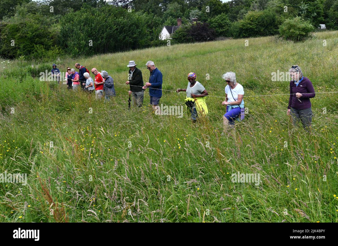 Lodge Field Orchideenzahl 2022 Stockfoto