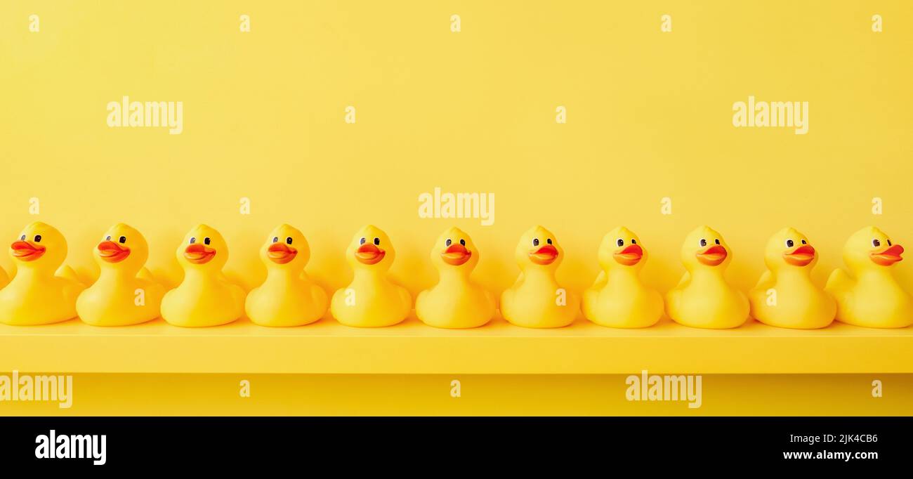 Banner gelb Gummi Ente Hintergrund gelb Enten in einer Reihe. Gummi Ente Muster gelb Konzept. Kommunikation. Community. Ducky-Badespielzeug aus Gummi Stockfoto